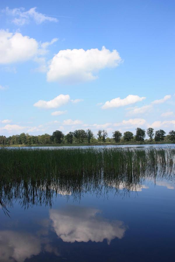 Vakantiehuis Appelvink, Toplocatie In Bosrijke Omgeving Oisterwijk Εξωτερικό φωτογραφία