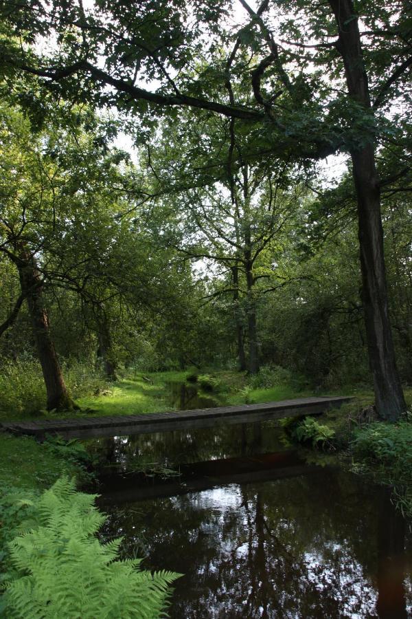 Vakantiehuis Appelvink, Toplocatie In Bosrijke Omgeving Oisterwijk Εξωτερικό φωτογραφία