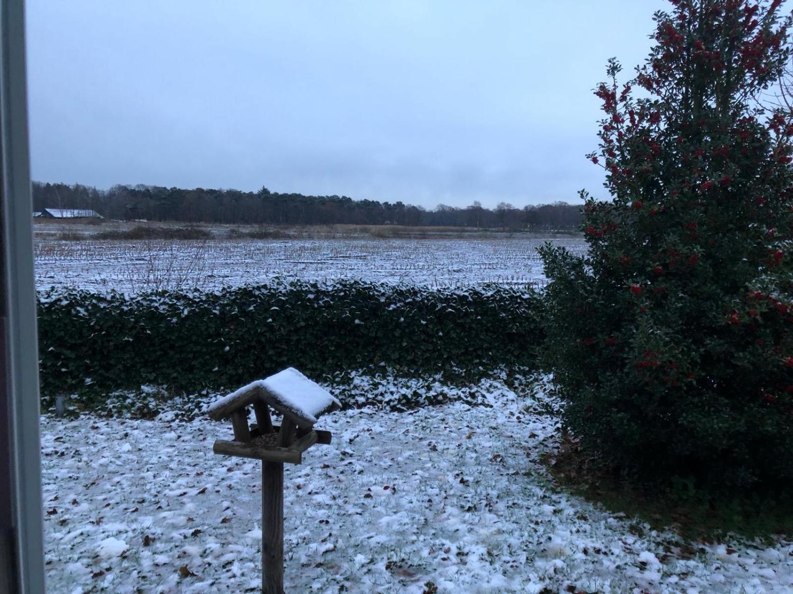 Vakantiehuis Appelvink, Toplocatie In Bosrijke Omgeving Oisterwijk Εξωτερικό φωτογραφία
