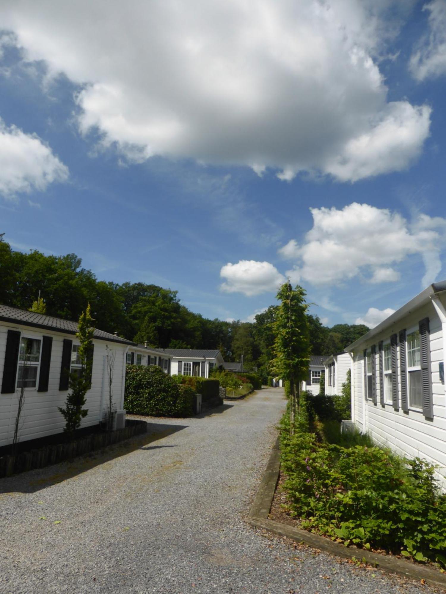 Vakantiehuis Appelvink, Toplocatie In Bosrijke Omgeving Oisterwijk Εξωτερικό φωτογραφία